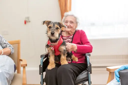 Ashlyn Care Home - Expert Care in Harlow