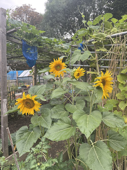 Forrester Court - Expert Care in London