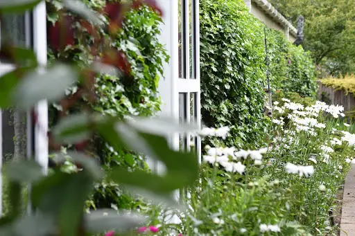 Normanton Lodge Care Home - Expert Care in South Normanton