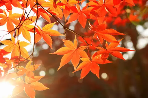 Residential home in Nottingham: True Peace of Mind