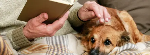 Compassionate Care in Ryton at Ryton Towers